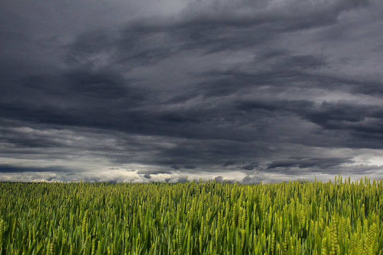 Sustainable Agriculture: A Solution for Climate Change?